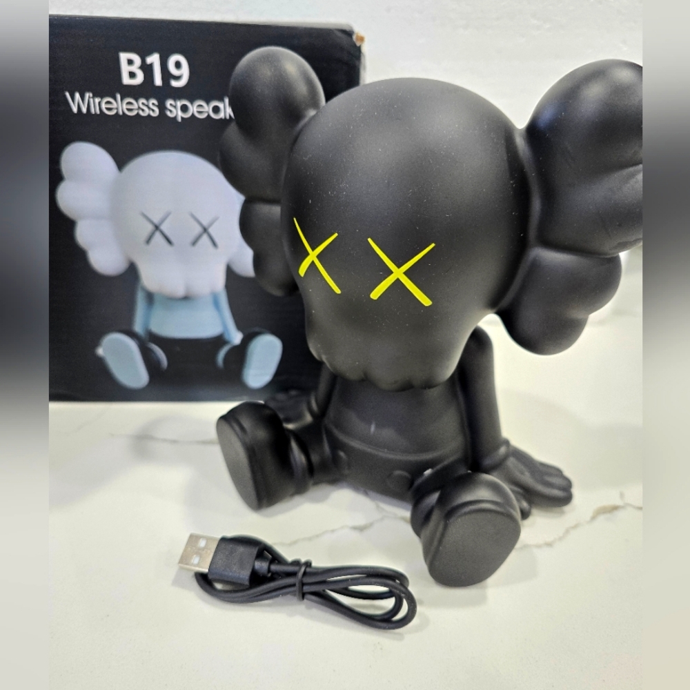 NWOT B19 wireless speaker